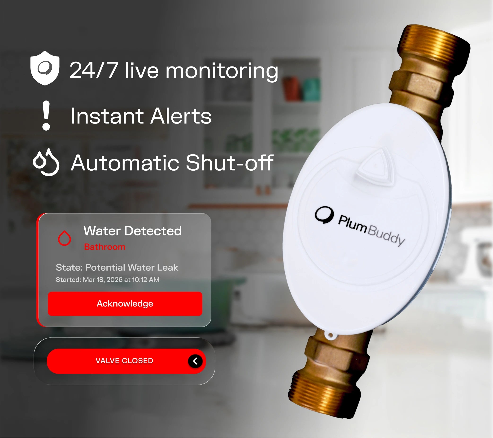 PlumBuddy Smart Valve — 24/7 live monitoring