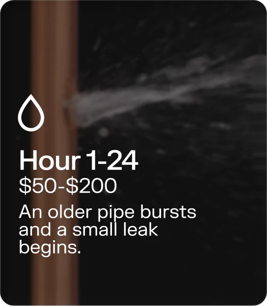 Hour 1–24 · $50–$200 — An older pipe bursts and a small leak begins.