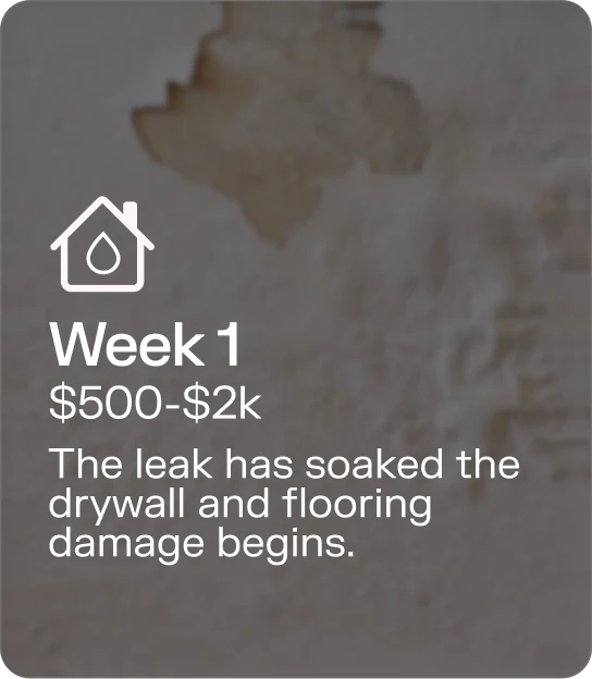 Week 1 · $500–$2k — The leak has soaked the drywall and flooding damage begins.