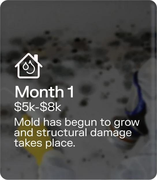 Month 1 · $5k–$8k — Mold has begun to grow and structural damage takes place.