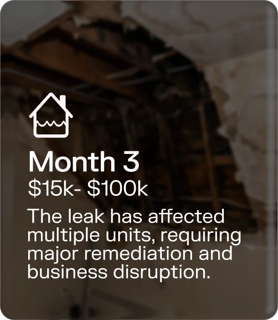 Month 3 · $15k–$100k — The leak has affected multiple units, requiring major remediation and business disruption.