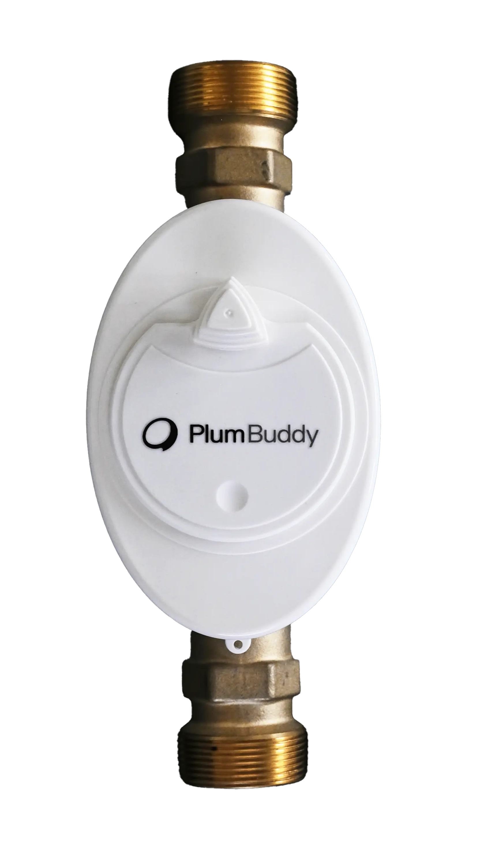 PlumBuddy (Valve)